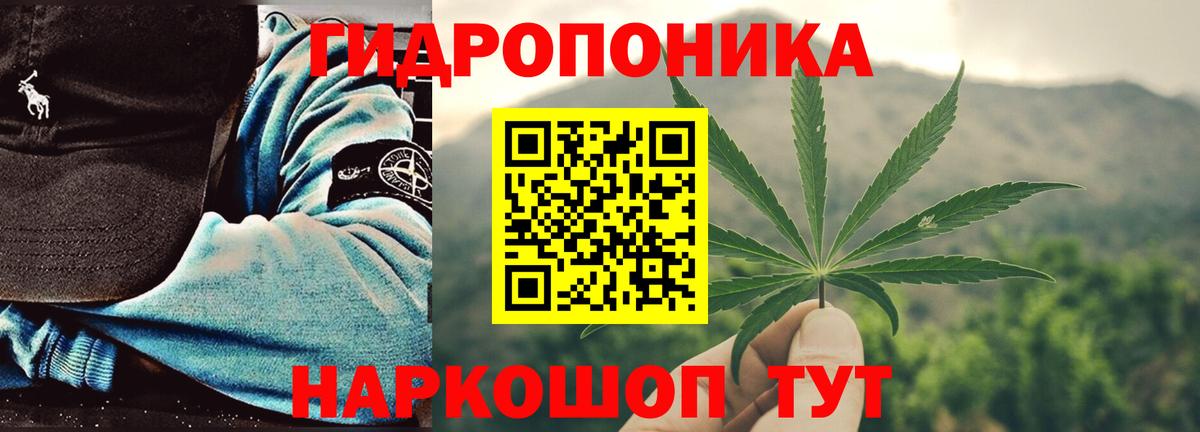 Бошки Шишки семена  Вход с VPN  Джанкой  Конопля Amnesia  Канабис гибрид  Канабис THC 21% 